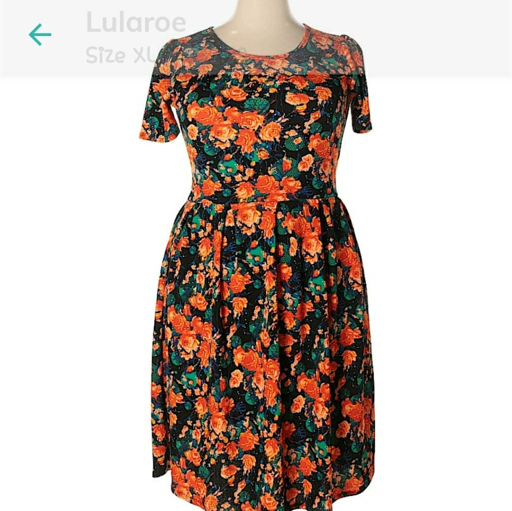 LuLa Roe Beautiful floral print dress